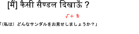 未来形（叙想法）例